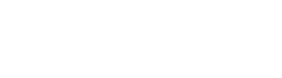 Electrolux Group - Consultoria de Cocriação Estratégica com IN.SIGHT